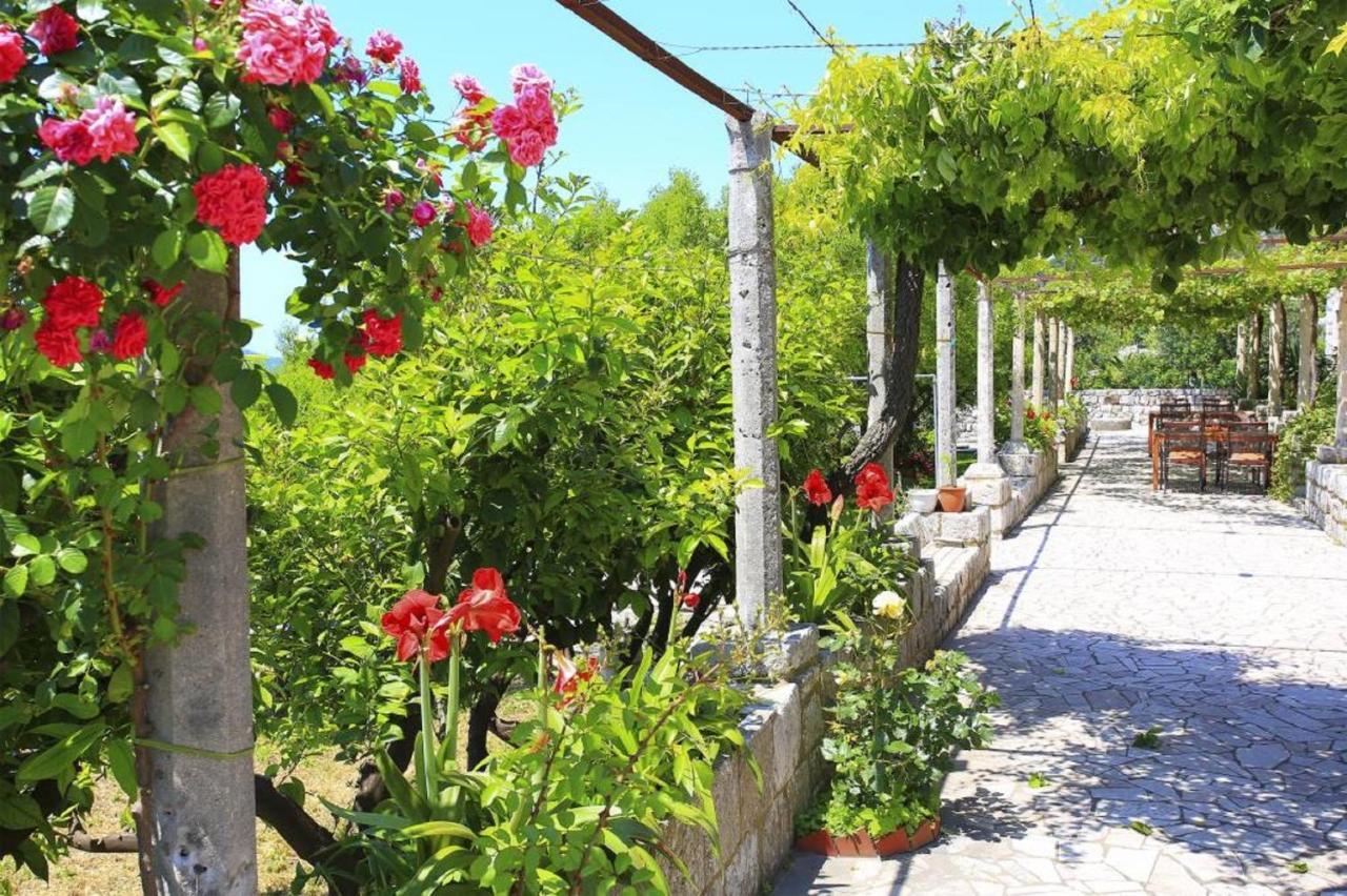 Apartment & Rooms Savonari 오라사크 외부 사진
